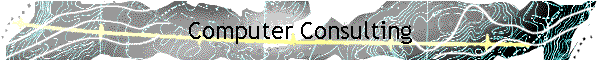 Computer Consulting